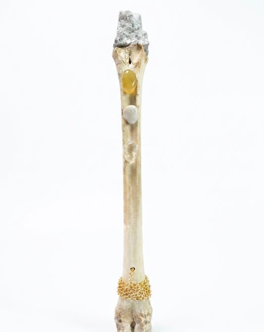 Bone wands