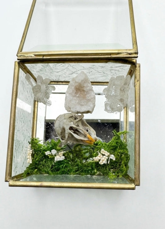 Muskrat mirror case centerpiece