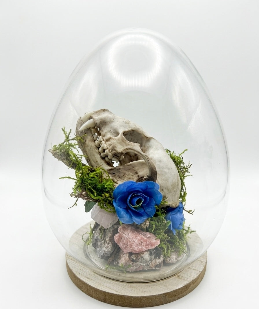 Coon skull centerpiece