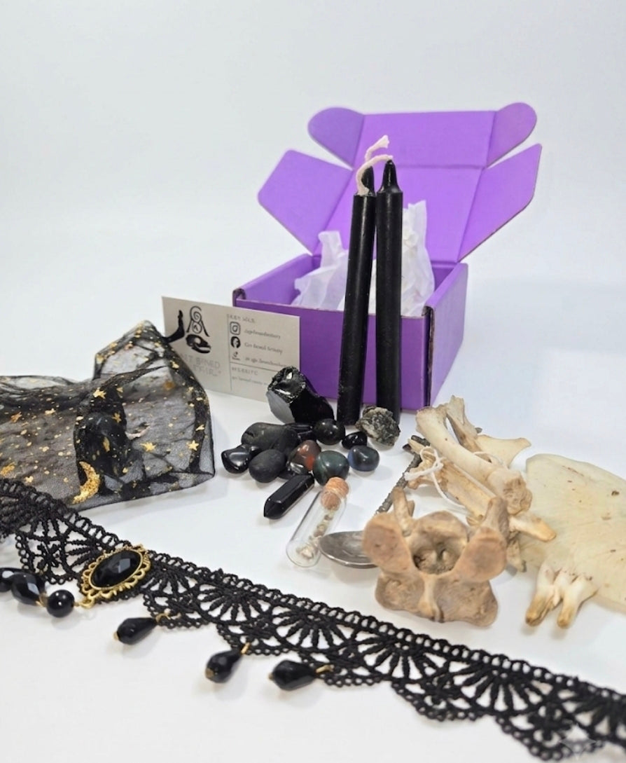 Mystery Bone Boxes 4×4×2in MED AND LARGE COMING SOON!