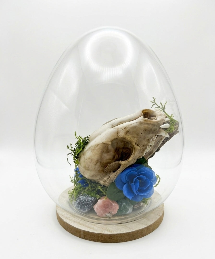 Coon skull centerpiece