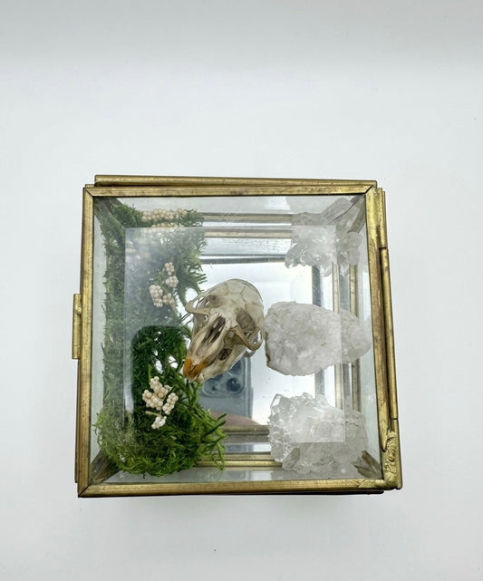 Muskrat mirror case centerpiece