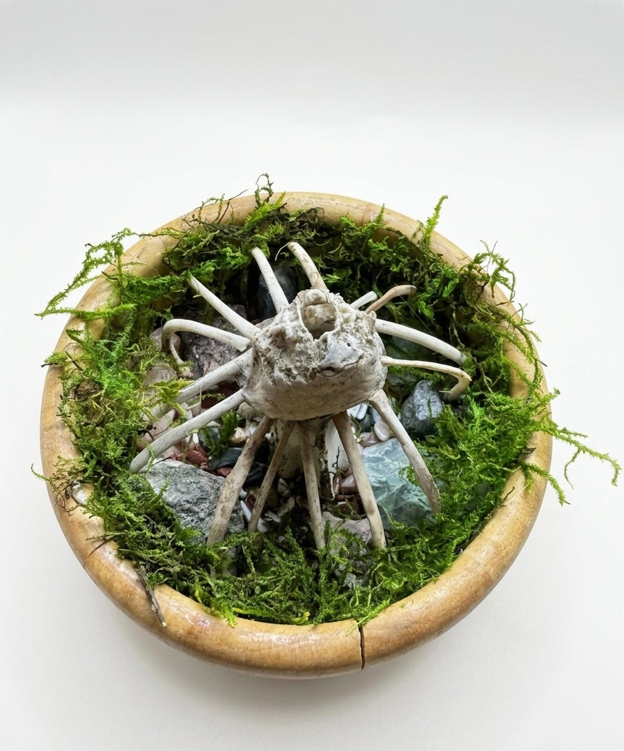 Incense holder