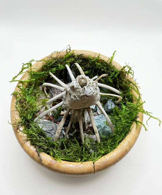 Incense holder