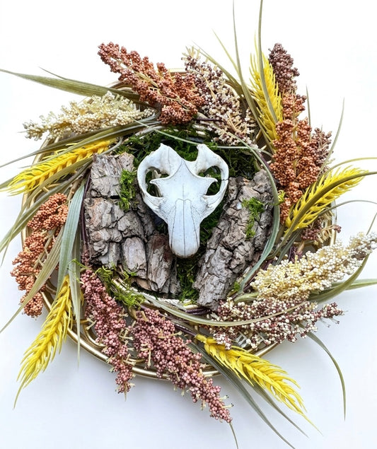 Gopher skull wall decor