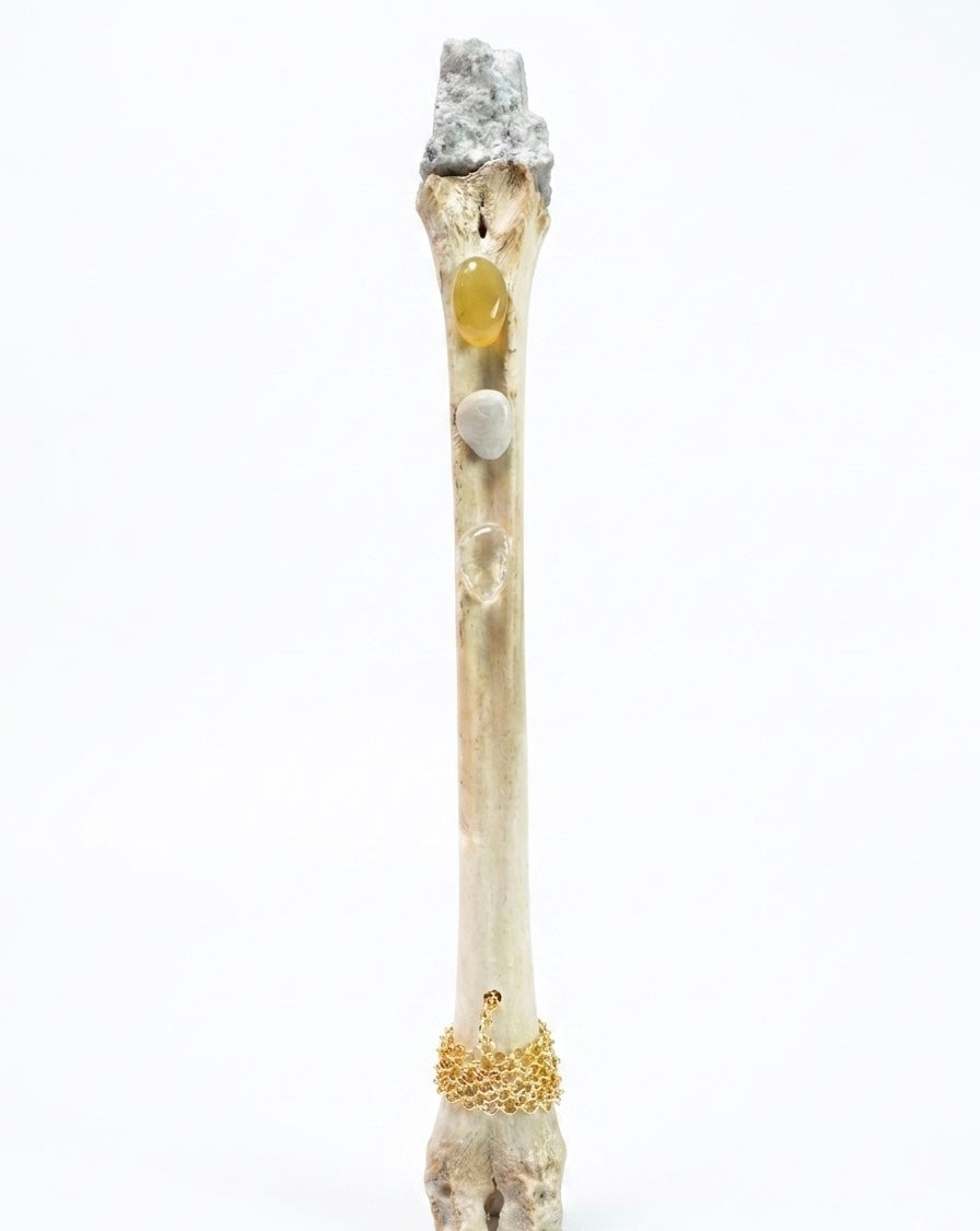 Bone wands