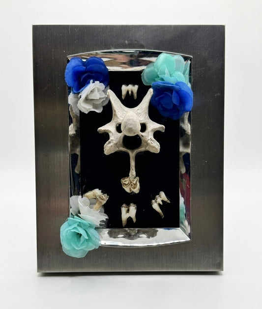 Deer teeth and Vertebrae frame