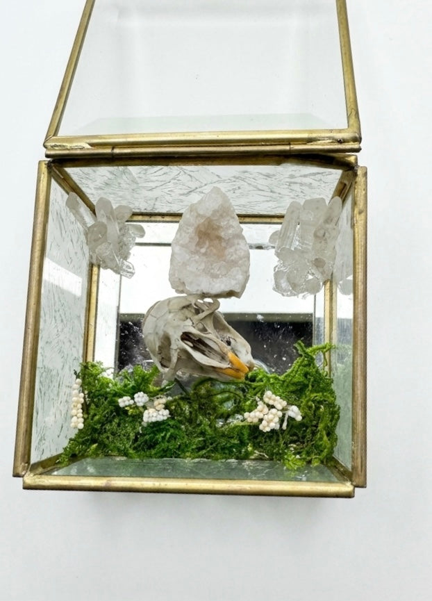 Muskrat mirror case centerpiece
