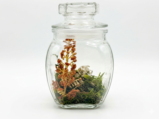 Mouse skull mini terrarium