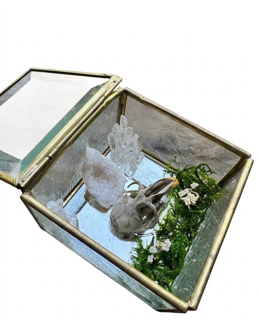 Muskrat mirror case centerpiece