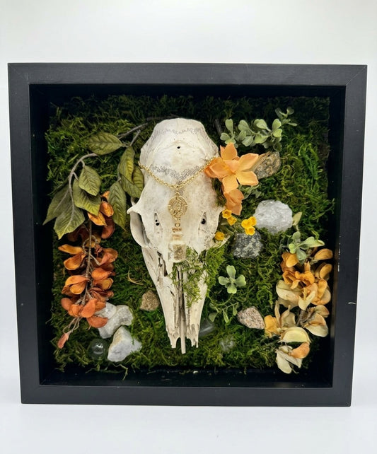 Doe skull wall decor