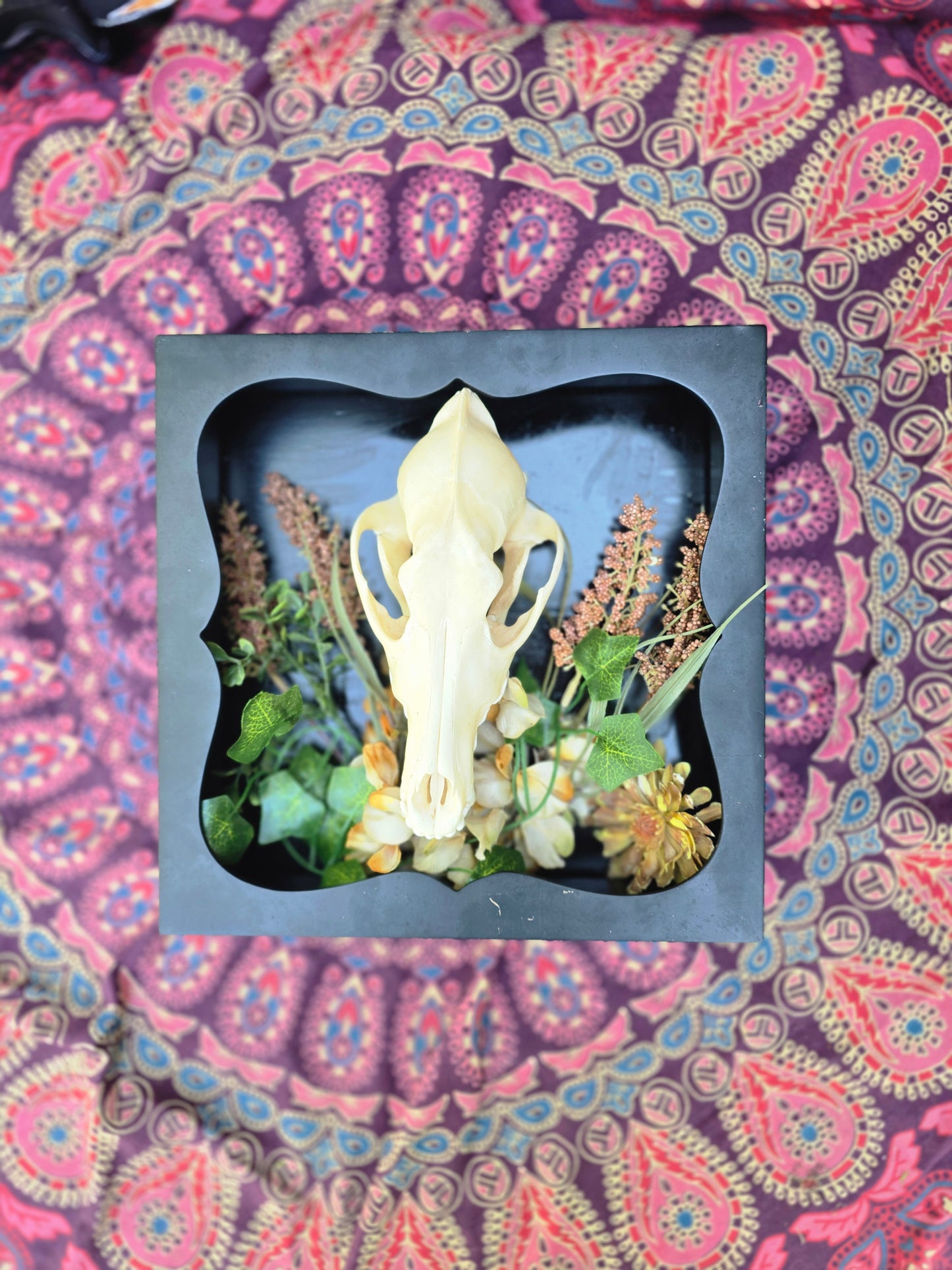 Coyote Skull Wall decor