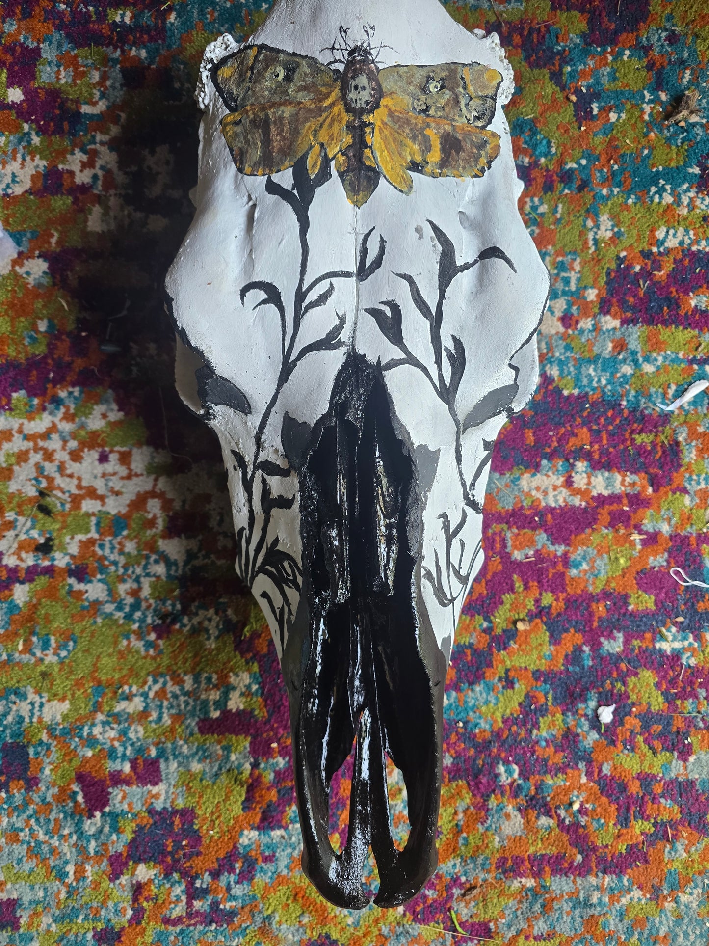 Beetle cleaned Hand paint cow skull