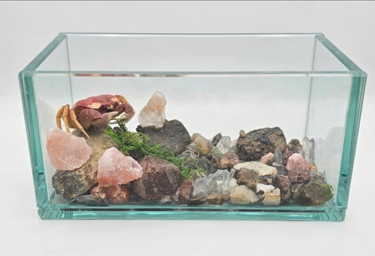 Patriot crab terrarium